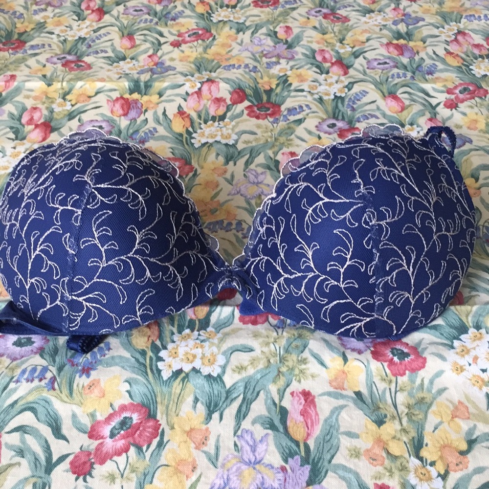 Blue embroidered bra